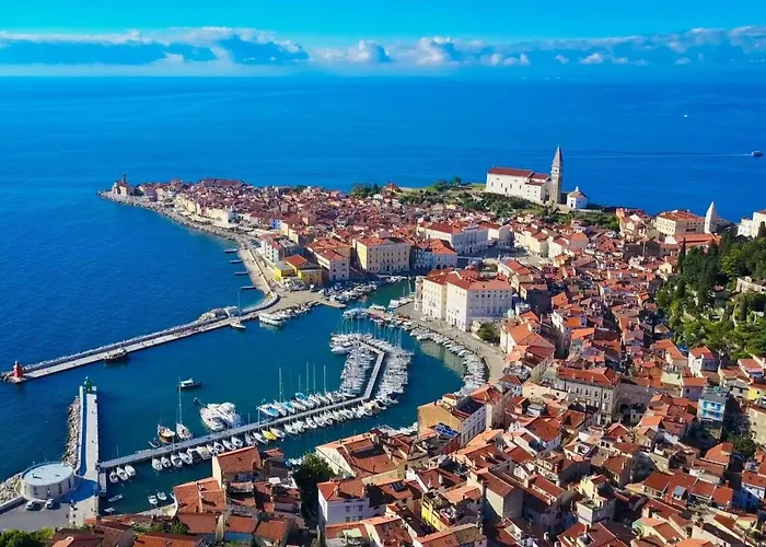 Jolly -center Bright At Tartini Square * 皮兰